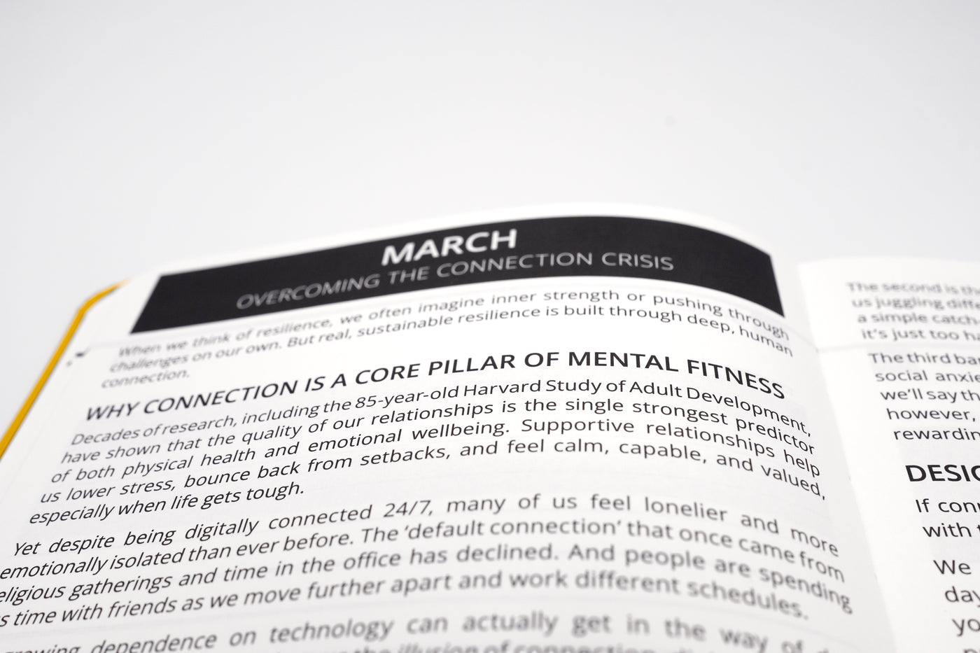 2026 Mental Fitness Diary & Planner - Weekly Format