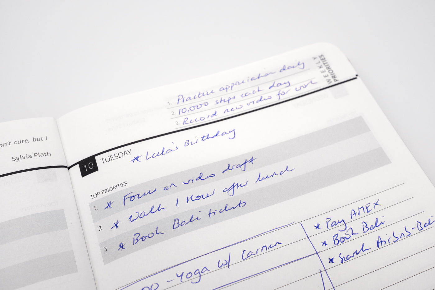 2026 Mental Fitness Diary & Planner - Daily Format