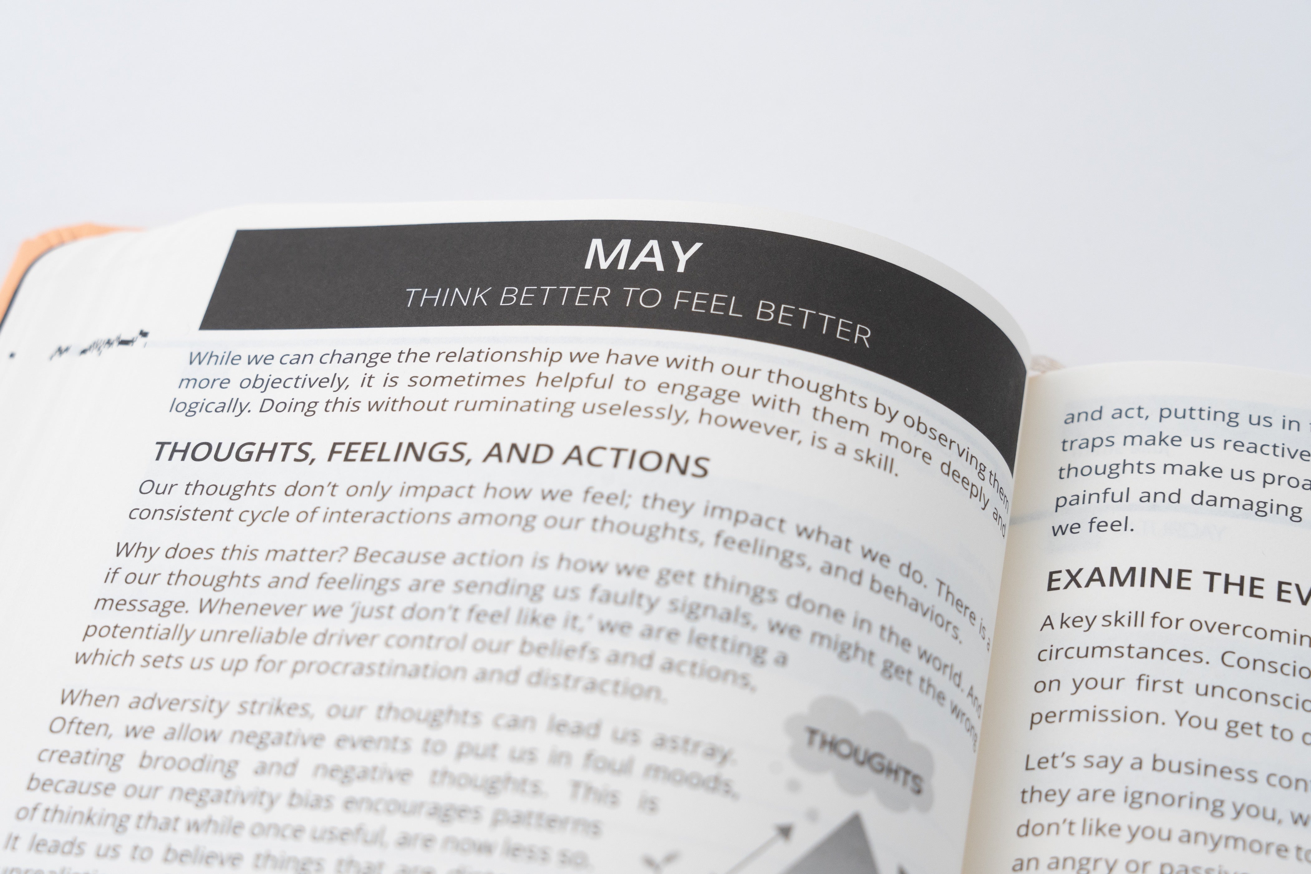 2026 Mental Fitness Diary & Planner - Daily Format