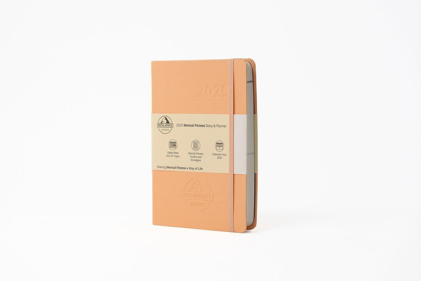 2025 Mental Fitness Diary & Planner - Daily Format